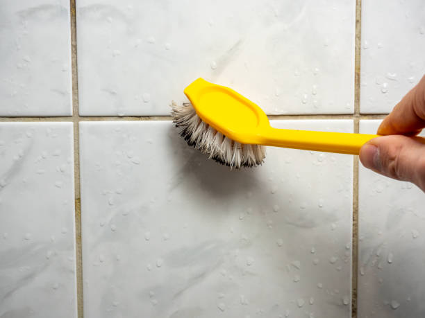 Best Office Mold Removal Services  in Pittsburgh, PA