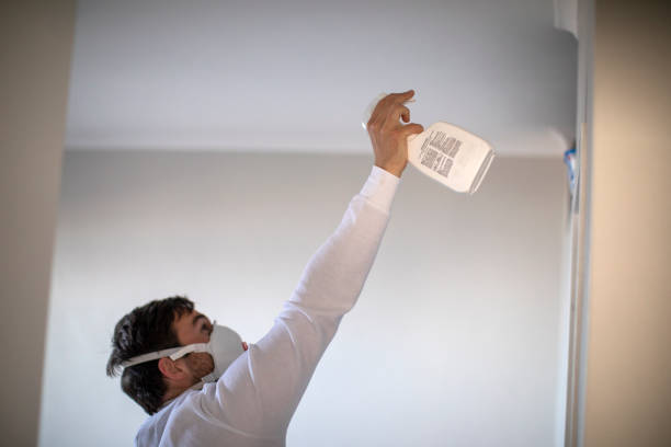 Best Crawl Space Mold Removal  in Pittsburgh, PA